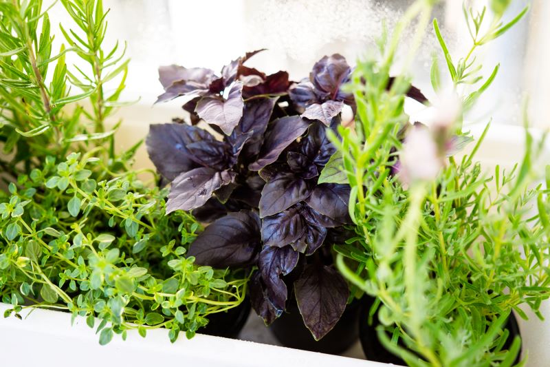 Windows-By-Toll-garden-windows