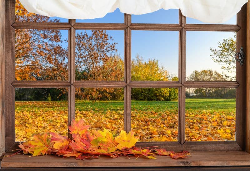 window replacement in Rye Brook CT