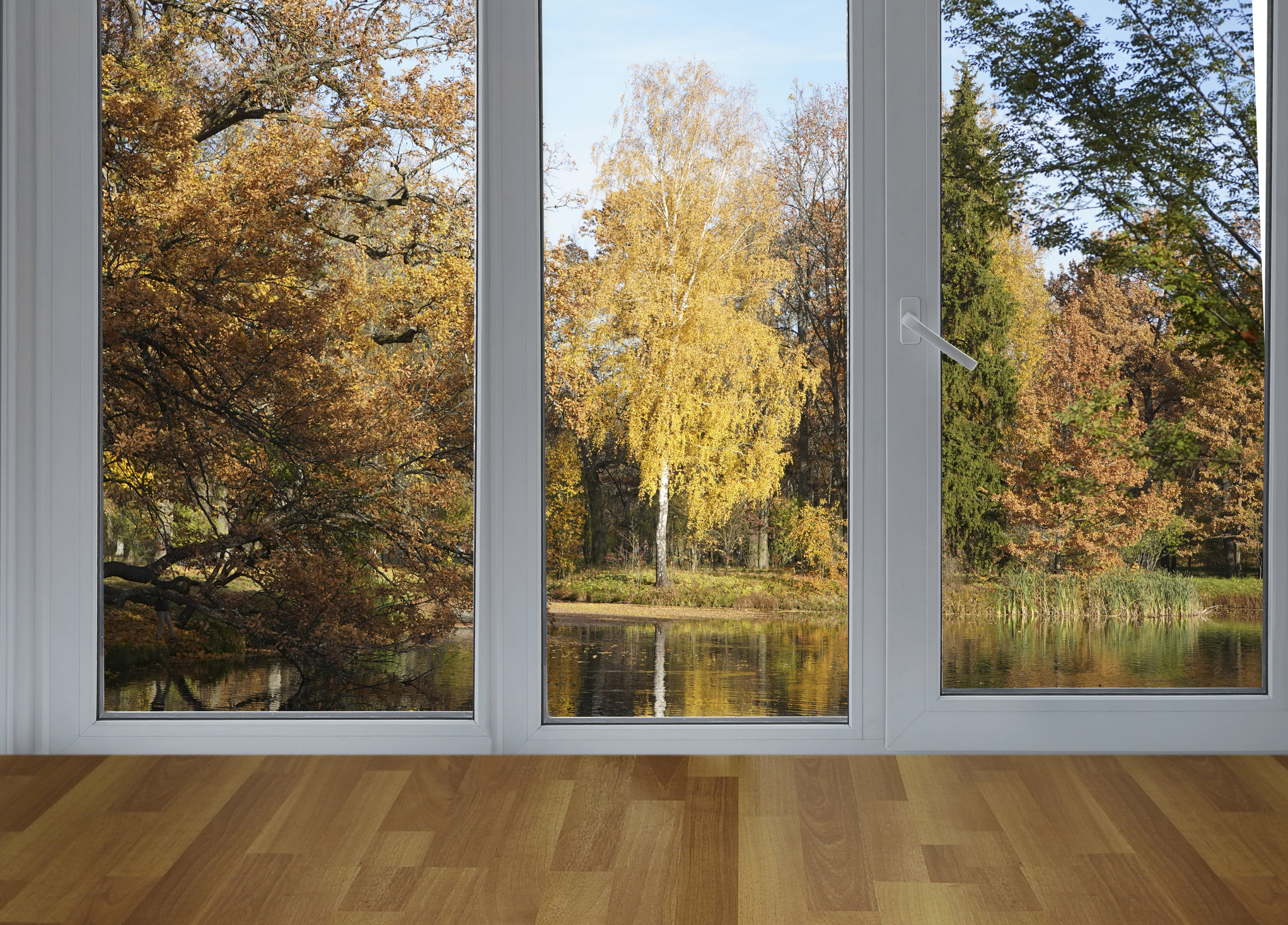 Door Replacement Options