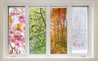 The Advantages of Andersen Windows